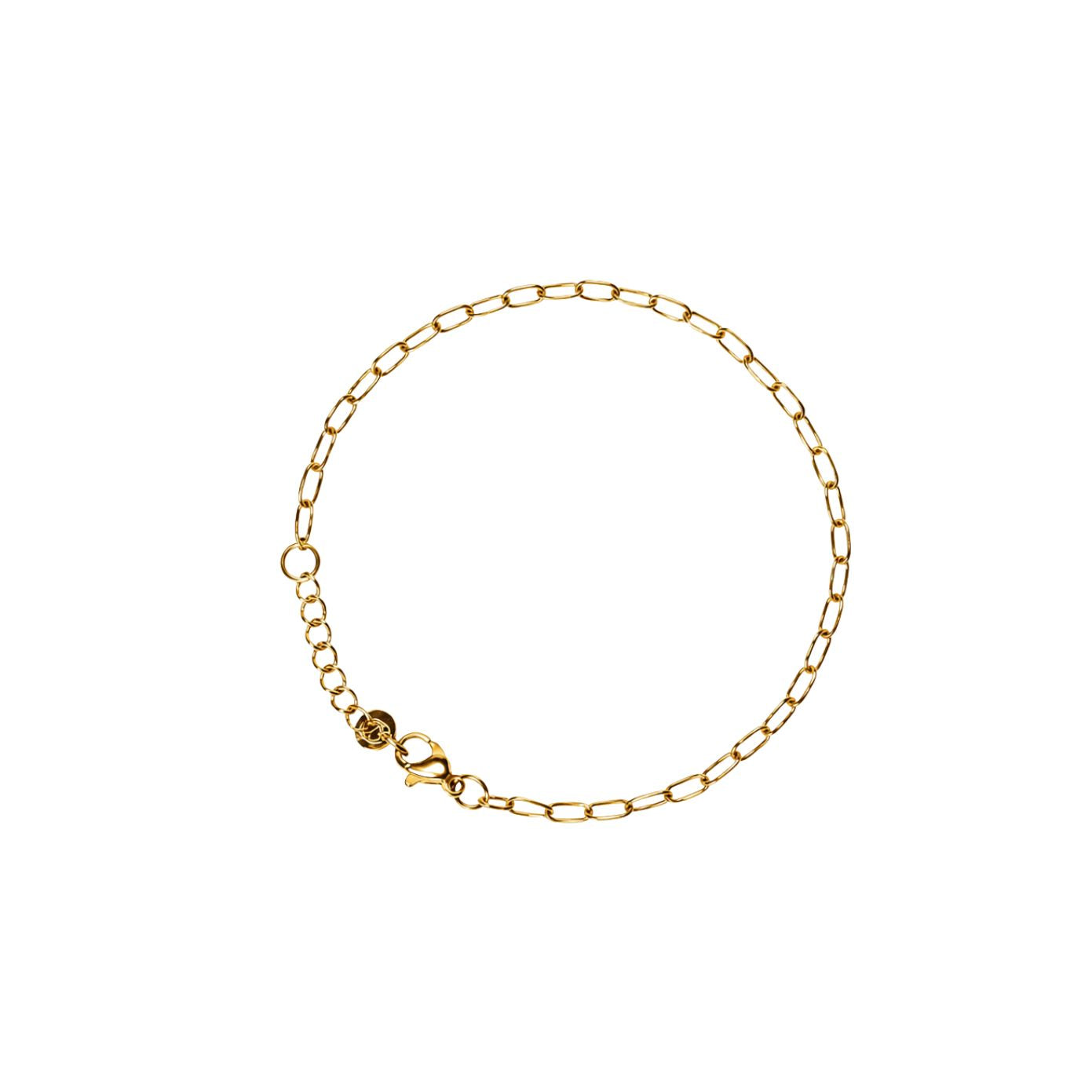 Delicate fine gold paperclip chain bracelet with a lobster clasp and adjustable extender, in 18k gold plating.