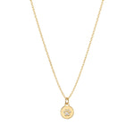 Dainty gold fine chain necklace with a round disc pendant featuring a cubic zirconia paw print, in 18k gold plating.