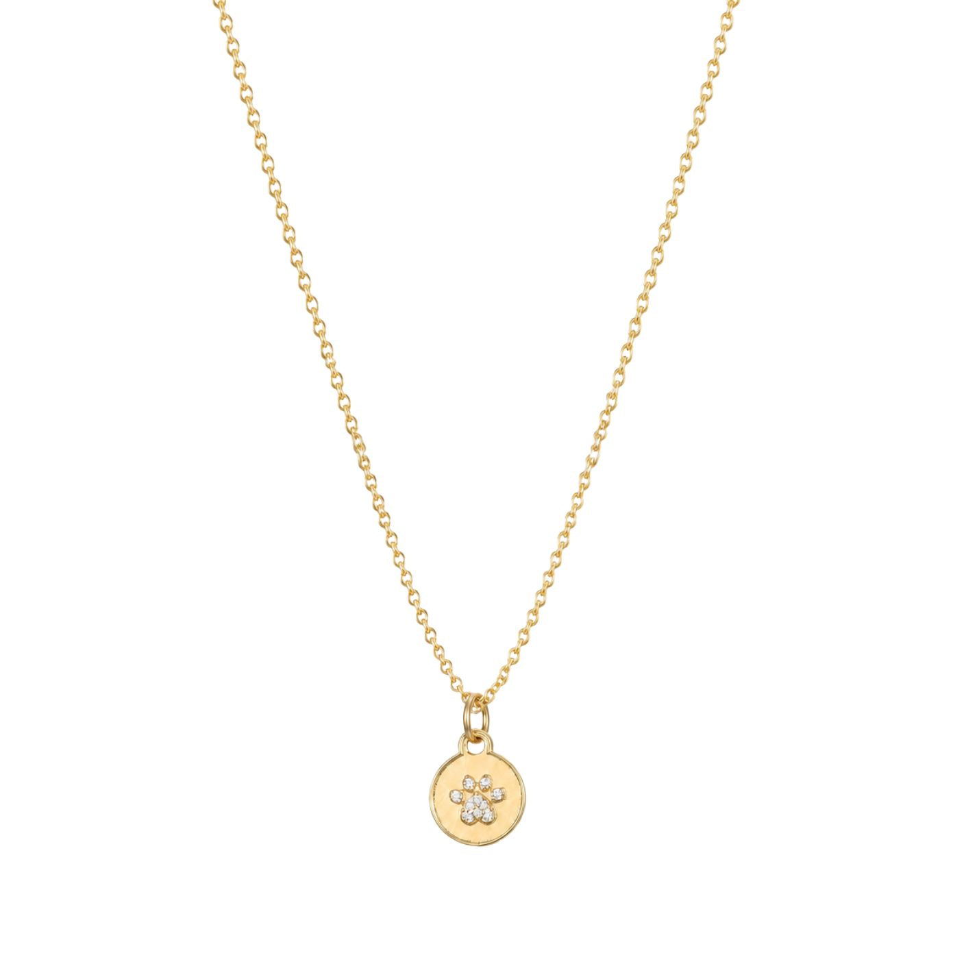 Dainty gold fine chain necklace with a round disc pendant featuring a cubic zirconia paw print, in 18k gold plating.