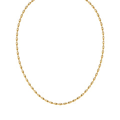 Dainty gold oval-bead chain necklace with a lobster clasp, adjustable extender, and Zoé disc tag, in 18k gold plating.
