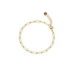 Gold paperclip chain bracelet with a lobster clasp, adjustable extender, and Zoé tag, in 18k gold plating.