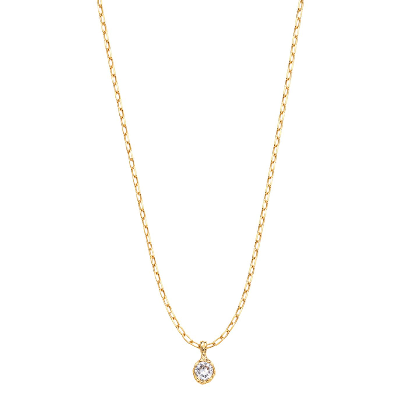 Gold paperclip chain necklace with a round clear cubic zirconia solitaire pendant in an organic bezel, lobster clasp, adjustable extender, and Zoé disc tag, in 18k gold plating.